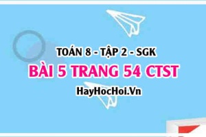 Bài 5 trang 54 Toán 8 Tập 2 Chân trời sáng tạo